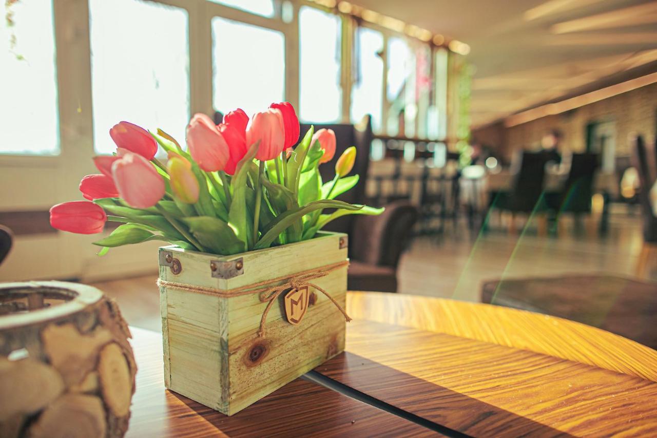 Martoni Resort & Restaurant Szigetszentmarton Экстерьер фото